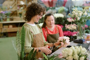 Yüksek açılı, kıvırcık saçlı çiçekçinin gülleri budayarak kestiği bir kare. Bu arada Down sendromlu sevimli meslektaşı onunla sohbet ediyor.