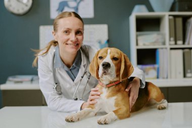 Beyaz önlüklü bayan veteriner klinikte bir av köpeğini incelerken gülümsüyor. Arka planda tıbbi ekipman ve raflarla birlikte inceleme masası