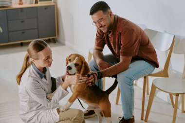 Veterinerlik profesyoneli, bakıcı klinikteyken bir köpeğin fiziksel muayenesini yapıyor. Köpeğin sağlığını ve sağlığını sağlama almak için detaylı kontrol.