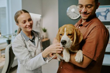 Klinikte destekli veteriner beagle 'ı tutuyor. Rutin kontroller sırasında arkasında tıbbi ekipmanlarla gülümsüyor.
