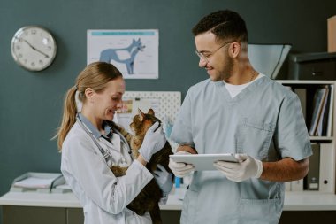 Donanımlı bir klinikte sakin bir tekir kediyi inceleyen veterinerlik uzmanları, küçük hayvanlar için tedaviyi tartışırken etkileşim göstermektedir.