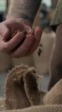 Ön kolunda kaplan dövmesi olan, kahve fincanındaki kahve çekirdeğinin kalitesini ölçen, tanınmayan bir adamın dikey yakın çekimi.