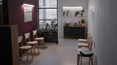 Modern sandalyeler, anatomik evcil hayvan posterleri, veterinerlik kliniğinde kitap ve bitkilerin bulunduğu rahat bekleme yerinin içi