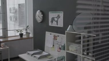 Çağdaş veterinerlik ofisinde duvarda anatomik evcil hayvan posteri olan tıbbi belgelerle birlikte masanın cam duvarından aşağı doğru eğil.