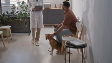 Kadın veteriner klinik bekleme odasında yürüyor, av köpeğini okşuyor ve muayene odasına davet ediyor.