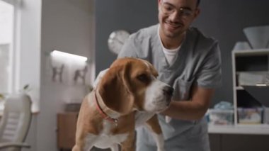 Genç erkek veteriner, tazı köpeği üzerinde tıbbi inceleme yaparken gülümsüyor, klinikte kontrol sırasında not alan bayan meslektaşıyla konuşuyor.