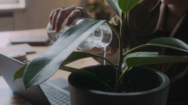 Ofiste dizüstü bilgisayarı olan, cam şişeden saksı bitkisini sulayan bir kadının yakın görüntüsü.