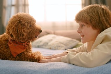 Kafkasyalı çocuk yatağa uzanmış bandana takmış küçük kahverengi köpekle yüzleşiyor, gülümsüyor ve göz teması kuruyor, elleri battaniyenin üzerinde dinleniyor, arka planda güneş ışığı yansıyor.