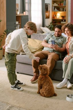 Annesi ve babası oturma odasında oturmuş gülümserken beyaz çocuk küçük kahverengi köpekle etkileşime giriyor.