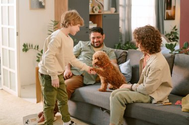 Beyaz çocuk küçük köpeği selamlarken Orta Doğulu genç kadın ve genç adam kanepede oturup oturma odasındaki etkileşimi izliyorlar.