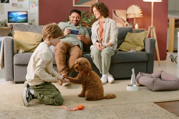 Beyaz çocuk halıda diz çöküp kahverengi kaniş köpeğine el sıkışmayı öğretirken ailesi arka planda oturup gülümsüyor.