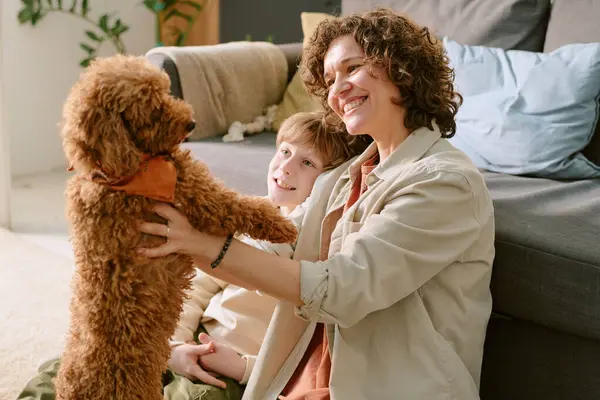 Beyaz, orta yaşlı bir kadın ve beyaz bir çocuk oturma odasında tüylü kahverengi bir köpekle etkileşime giriyor. Kadın köpeğini dik tutarken gülümsüyor, çocuk mutlu bir ifadeyle izliyor.