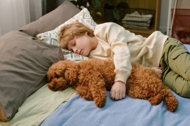 Kafkas çocuk yatakta uyuyor, küçük kahverengi köpeğe sarılıyor, evdeki ilk evcil hayvanın huzurlu anını gösteriyor, kollarını yavru köpeğe dolamış, ikisi de birbirine yakın yatıyor.