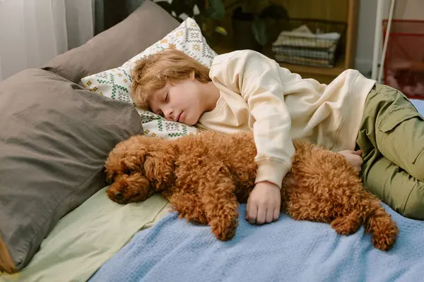 Kafkas çocuk yatakta uyuyor, küçük kahverengi köpeğe sarılıyor, evdeki ilk evcil hayvanın huzurlu anını gösteriyor, kollarını yavru köpeğe dolamış, ikisi de birbirine yakın yatıyor.