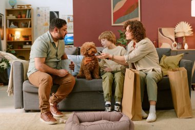 Beyaz çocuk koltukta kıvırcık saçlı bir köpekle otururken Kafkas kadın ve Orta Doğulu erkek evcil hayvanlarla ilk evcil hayvan deneyimi sırasında evcil hayvanla etkileşime giriyor, yerde alışveriş torbaları var.