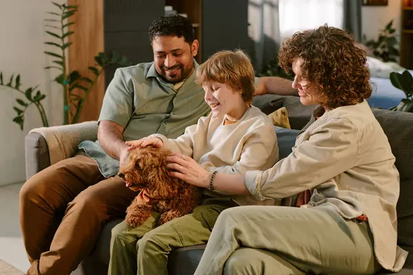 Kafkas kadın, beyaz çocuk ve Orta Doğulu adam koltukta oturmuş küçük kahverengi köpeği okşuyor, çocuk gülümsüyor ve evdeki ilk evcil hayvanla iletişim kuruyor, aile bağı kurma anı.