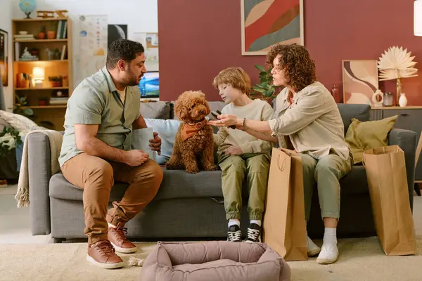 Beyaz çocuk koltukta kıvırcık saçlı bir köpekle otururken Kafkas kadın ve Orta Doğulu erkek evcil hayvanlarla ilk evcil hayvan deneyimi sırasında evcil hayvanla etkileşime giriyor, yerde alışveriş torbaları var.