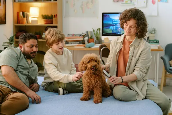 Beyaz çocuk, kahverengi kanişi, gülümseyen beyaz bir kadınla fırçalıyor ve Orta Doğulu bir adam yatağın yanında oturuyor. Aile, evdeki ilk evcil hayvanla vakit geçiriyor.