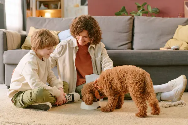 Kafkasyalı bir kadın beyaz bir çocukla halıda oturuyor, gülümsüyor ve küçük kahverengi bir köpeğin kaseden yemek yemesini seyrediyor. Oturma odasında ilk evcil hayvanı yakalıyor.