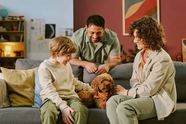 Beyaz çocuk kanepede oturmuş küçük kahverengi köpeği okşarken Kafkasyalı kadın ve Orta Doğulu adam gülümsüyor ve etkileşimi izliyor, evdeki ilk evcil hayvanı yakalıyor.