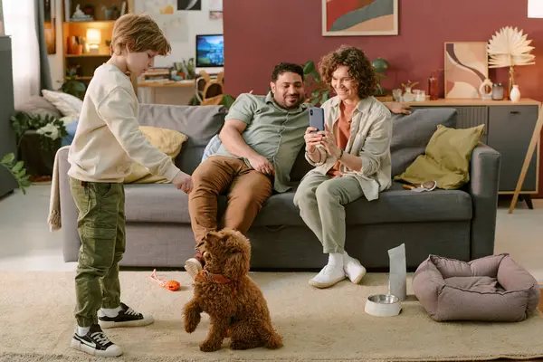 Kafkas çocuk küçük kahverengi köpeği eğitirken Kafkas kadın ve Orta Doğulu adam kanepede oturmuş gülümsüyor ve akıllı telefonuyla fotoğraf çekiyorlar.