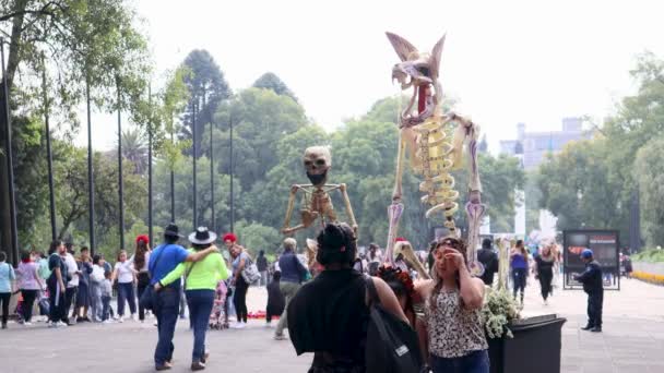 Mexico City Mexico Kasım 2022 Nsanlar Ülkenin Önemli Şenliklerinden Biri — Stok video