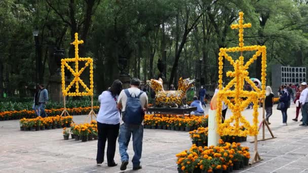 2022年11月 墨西哥城 人们在死之日走过查普尔特佩克森林 每年都有数百人聚集在此祭祀死者 — 图库视频影像