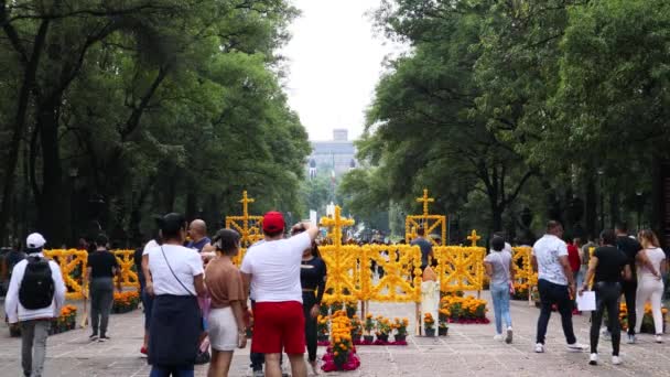 Cidade México México Novembro 2022 Famílias Visitando Ofertas Instaladas Floresta — Vídeo de Stock