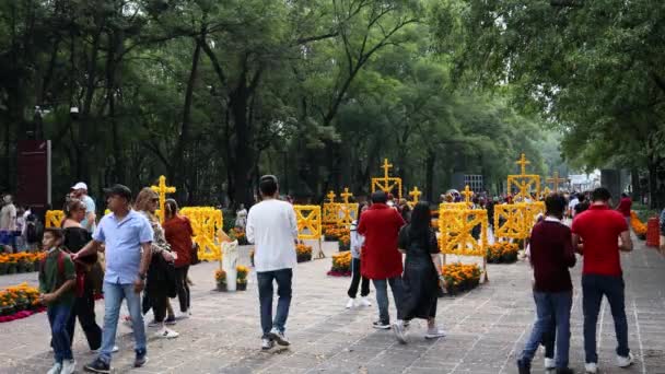 Mexiko Stadt Mexiko November 2022 Familien Spazieren Tag Der Toten — Stockvideo