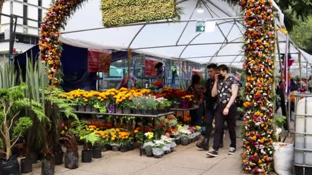 墨西哥墨西哥城 2022年11月 在墨西哥城举行的Cempasuchil花节 许多人在节日期间前来购买鲜花作为祭品 — 图库视频影像