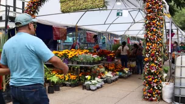墨西哥墨西哥城 2022年11月 一些家庭参观了帕索德拉改革节 Paseo Reforma 的花卉节 庆祝阵亡将士节 — 图库视频影像
