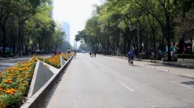 Mexico City, Meksika - Kasım 2022: Ölüler Günü kutlamaları sırasında Paseo de la Reforma Bulvarı boyunca yürüyen insanlar, arka planda yakın zamanda dikilen ahuehuete ağacını görebilirsiniz..