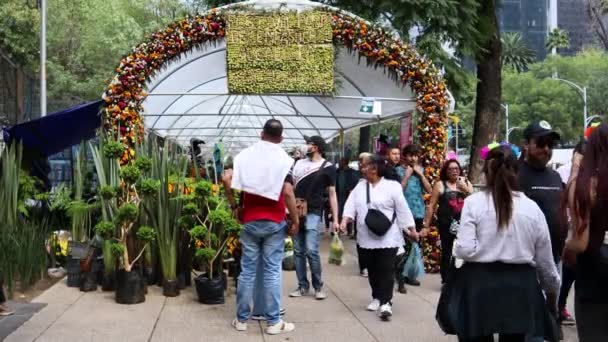 墨西哥墨西哥城 2022年11月 墨西哥城的死日庆祝活动 家庭步行穿过仙人掌花节 参观祭祀品 — 图库视频影像