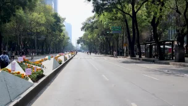 墨西哥墨西哥城 2022年11月 改革大道 Paseo Reforma Avenue 在纪念死难者日的活动中 林荫道上装饰着仙人掌花和死者的遗言 — 图库视频影像