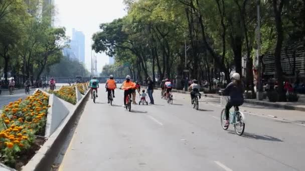 Mexiko Stadt Mexiko November 2022 Radtour Entlang Der Paseo Reforma — Stockvideo