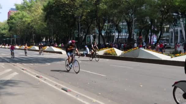 Città Del Messico Messico Novembre 2022 Persone Bicicletta Sul Viale — Video Stock
