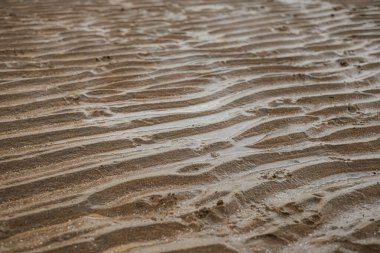 Kum dalgaları. Suda yansıması olan desenli kum. Sular çekildiğinde kum dokusu.