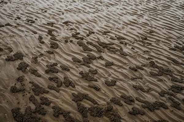 Crab holes. Waves of sand. Textured sand with reflection in water. Texture of sand when a tide is low.
