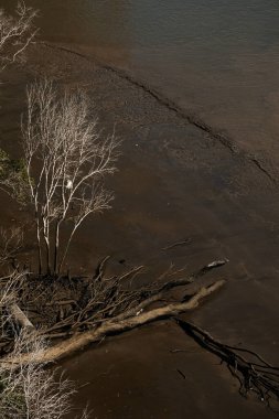 Etrafı ölü ağaçlarla doldurduktan sonra kum üzerinde sürüklenen dallar. Sel felaketinden sonra yıkıcı. Artan su seviyesi sonuçları. Doğal afet. Su baskını. Doğal tehlike işte. En küçük arkaplan.