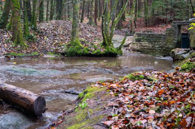 Güney Almanya 'da bir vadide bir sandıkla bir şelaleye uzun süre maruz kalmış.