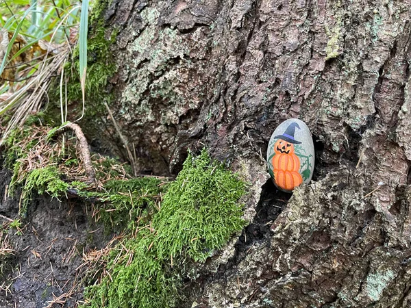 stock image a  haloween stone was placed on a tree in the forest