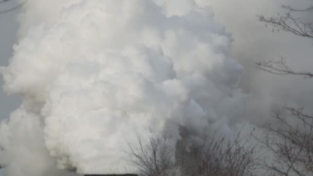 Nahaufnahme Wie Dampf Aus Rauchschwaden Den Himmel Erfüllt Luftreinhaltekonzept Schornsteine — Stockvideo