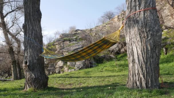 Sebuah Tempat Tidur Gantung Kosong Diikat Antara Dua Pohon Indah — Stok Video