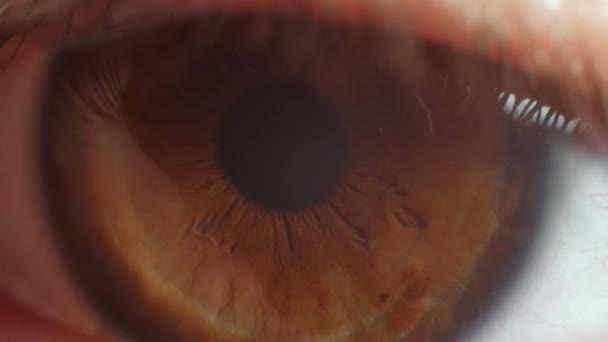 Macro Occhio Ravvicinato Uomo Occhio Tremolante Spaventato Paura Negli Occhi — Video Stock