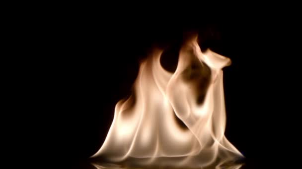 Пожар Черном Фоне Крупным Планом Замедленной Съемке Естественные Кадры Пожара — стоковое видео