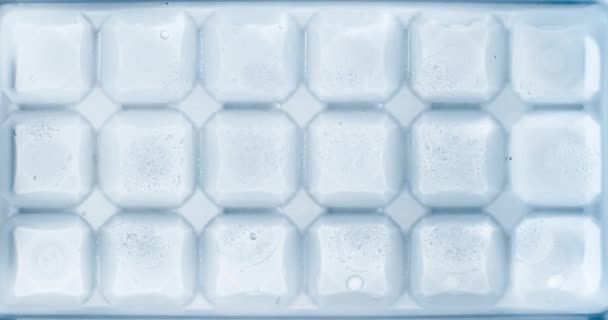 Prazo Congelamento Água Cubos Gelo Uma Bandeja Gelo — Vídeo de Stock