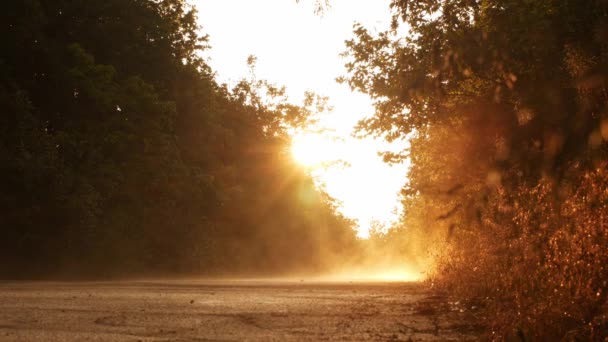 Όμορφος Ασφαλτοστρωμένος Ζεστός Δρόμος Ηλιοβασίλεμα Και Ατμό Δρόμος Περιβάλλεται Από — Αρχείο Βίντεο