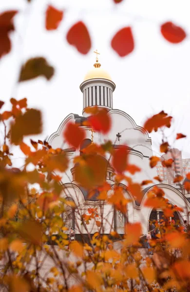 Golden Dome Orthodox Church Surrounded Small Orange Leaves — Stock Photo, Image