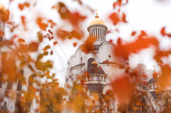 东正教教堂的金穹顶 周围是小桔子叶 — 图库照片