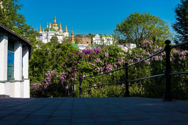 Lilacs Primavera Kiev Pechersk Lavra — Fotografia de Stock